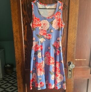 LuLaRoe Blue and Pink Floral Nicki Dress